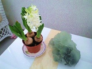 Photo_3